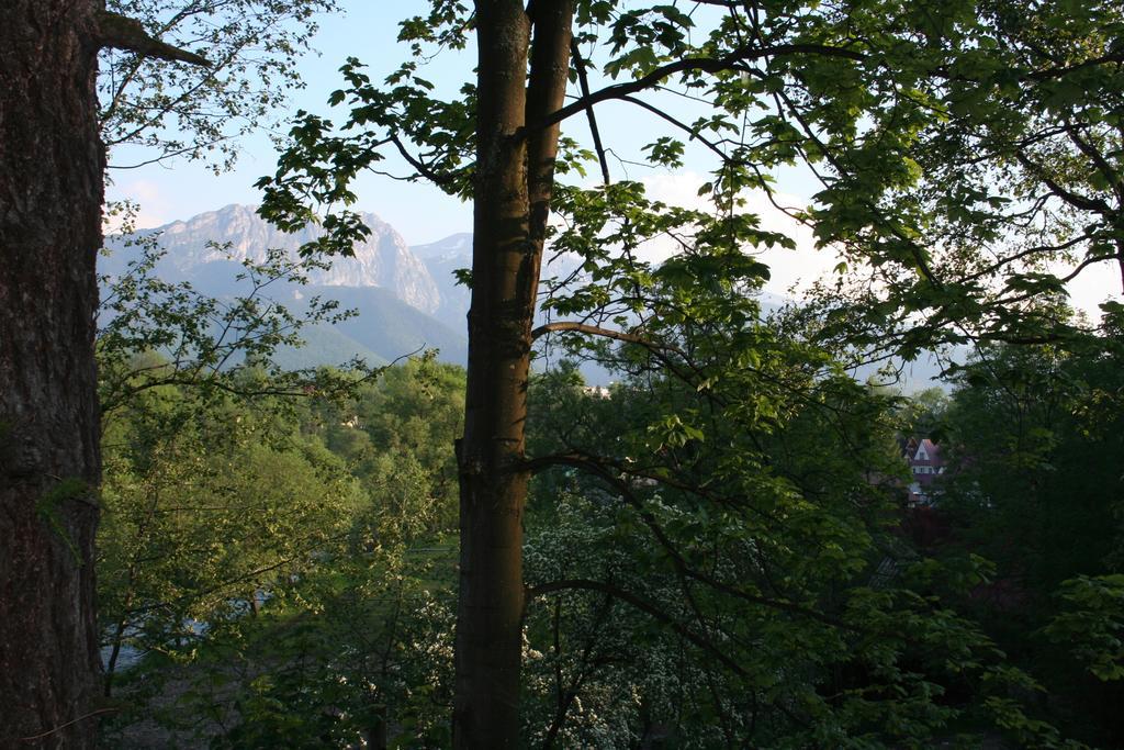 Apartament Cicha Woda Zakopane Pokoj fotografie